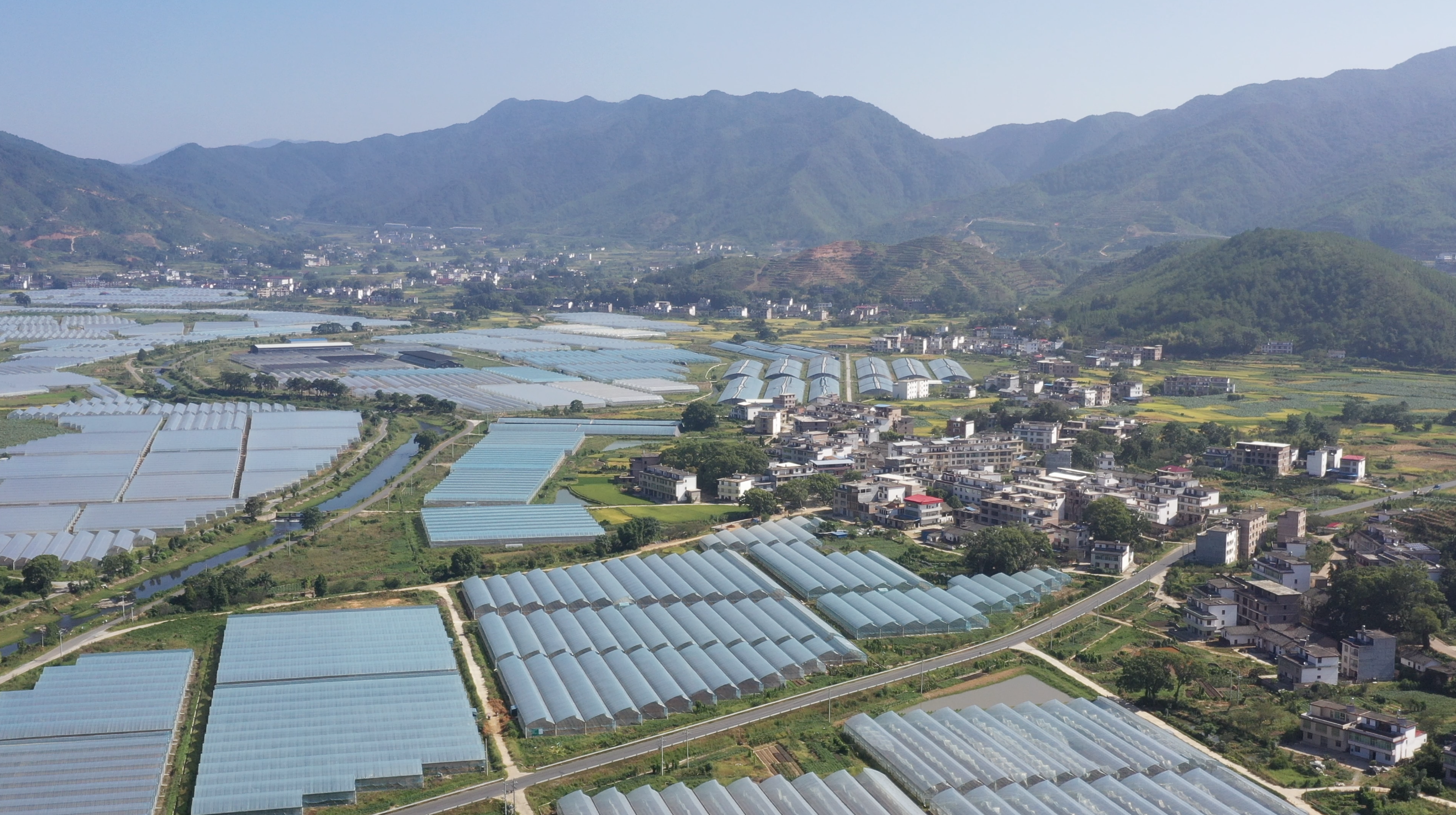 出实招 办实事 购宝钱包擘画乡村振兴新画卷